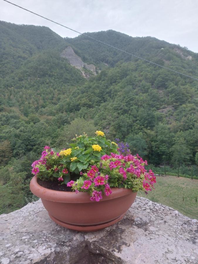 B&B Donnini Firenzuola Exterior photo